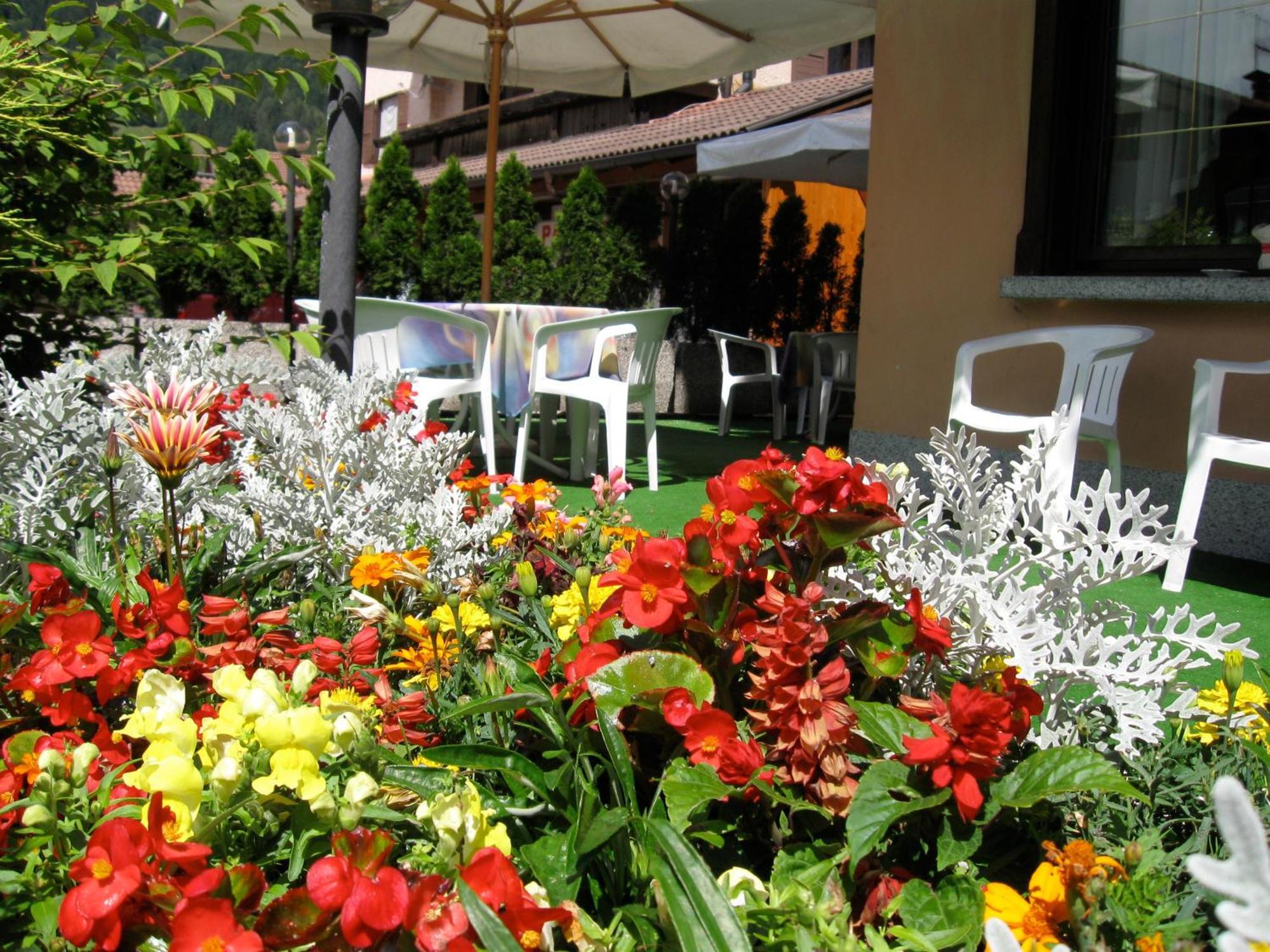 Hotel Binelli Pinzolo Extérieur photo