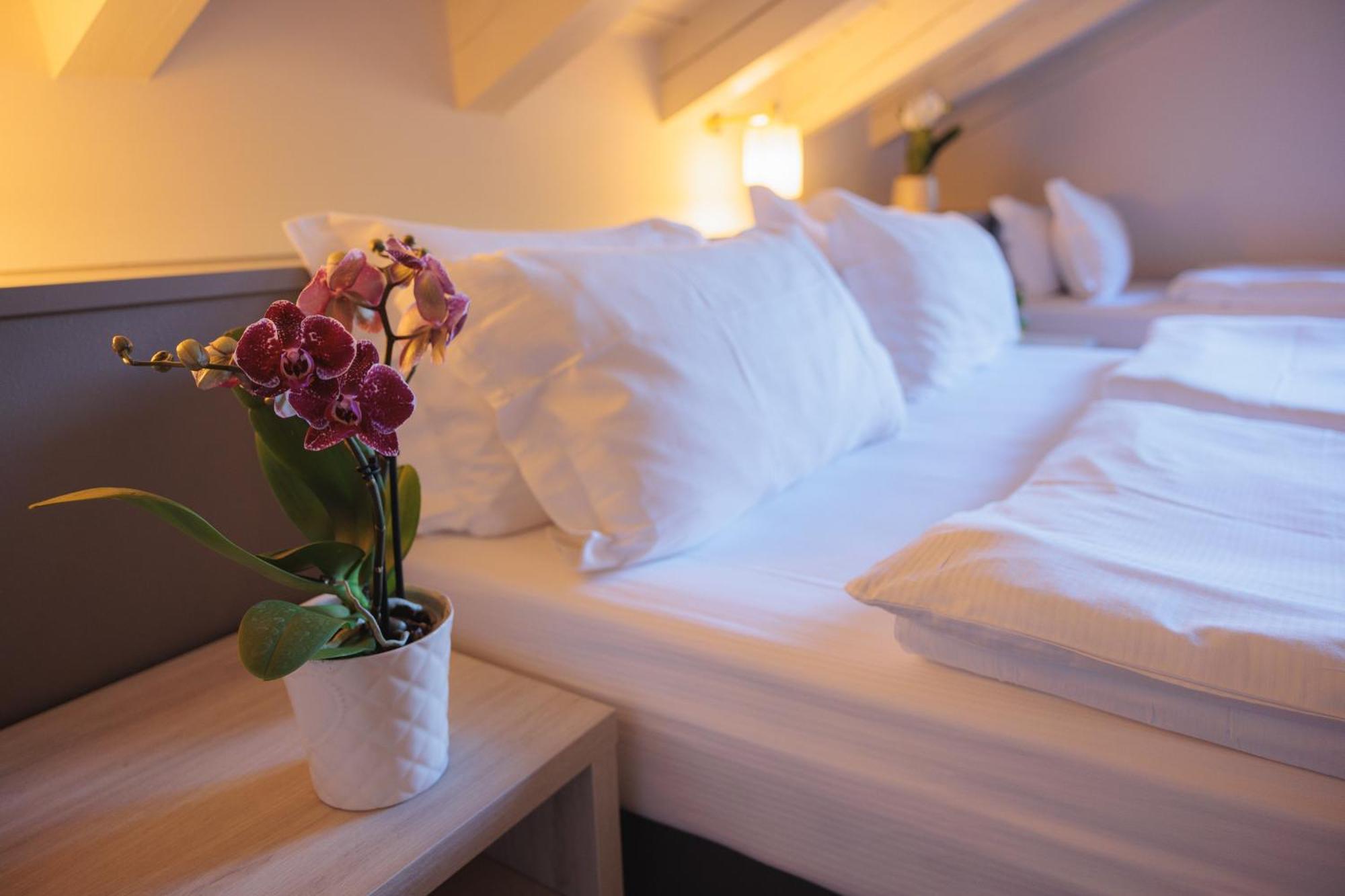 Hotel Binelli Pinzolo Extérieur photo